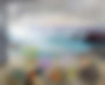 Sea treasures (preview)