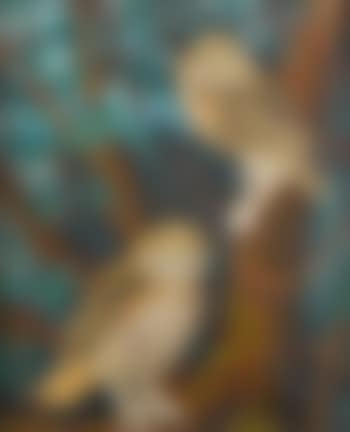 Little owls (preview)