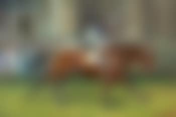 Sir Ivor winning the 1968 Derby (Lester Piggot up) (preview)