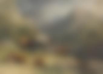 Cattle in a highland landscape (preview)