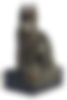 Cat (preview)