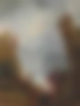 View of the Hudson River, Autumn (preview)