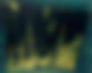N˚28-1958 (preview)