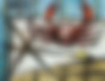 Le crabe (preview)