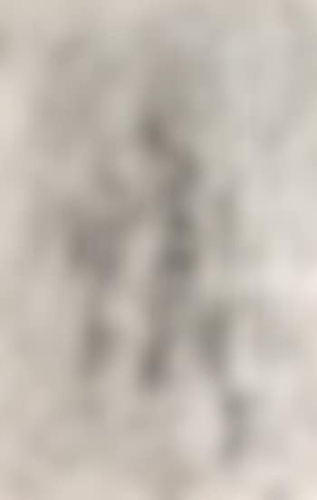 Arrachage (preview)