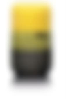 Model 198 Vase And Cover (preview)