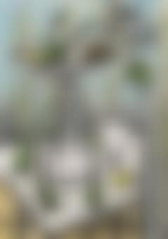 Le Compotier (preview)