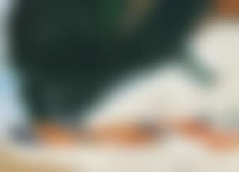La grande Pampa (preview)