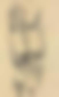Standing Female Nude from Behind (preview)