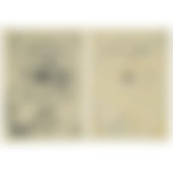 French Camel Carbon Paper (preview)