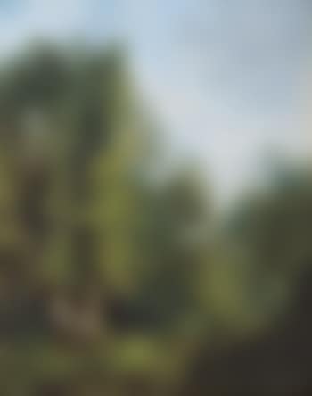 Landschap (preview)
