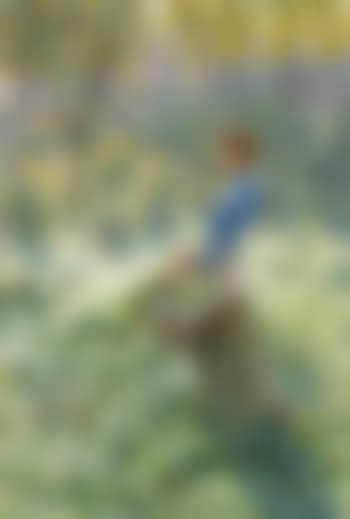 Summer morning (preview)