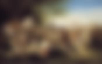 De redenaar (preview)