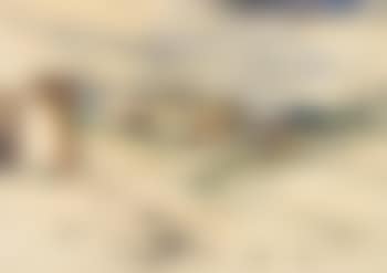 Landschap met duinen - Paysage avec dunes (preview)