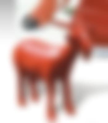 Geit (preview)
