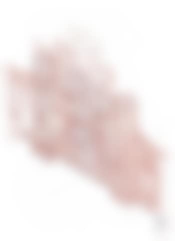 Studies for cloaca gates - Study # 250 (preview)