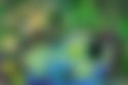Nature morte (preview)