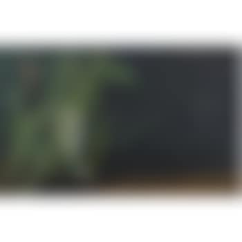 Surrealist Composition (preview)