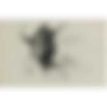 Metamorphisized Figure (preview)