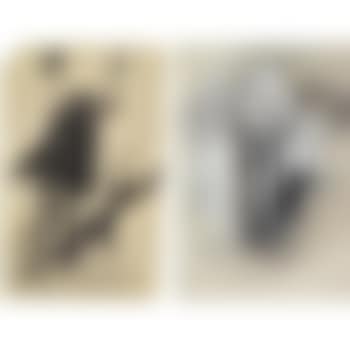 Woman And Her Shadow And Two Women And Their Shadows: Two Works (preview)