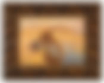 Cowboy et son cheval s'abreuvant en Arizona (preview)