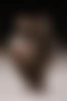 Hibou (preview)