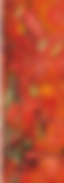Composition (preview)