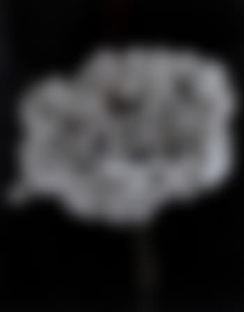 Hydrangea (preview)