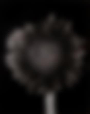 Sunflower (preview)
