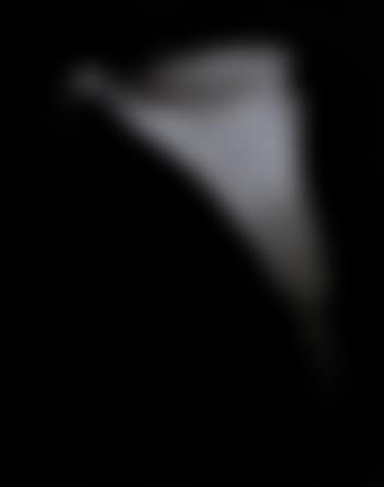 Calla lily (preview)