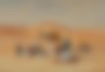 Prayer in the desert (preview)