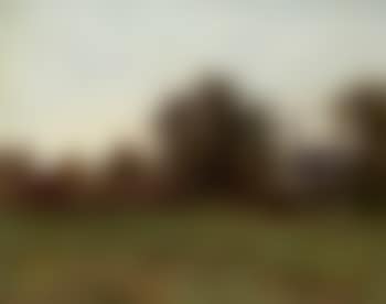 Sunrise. Sunset (preview)