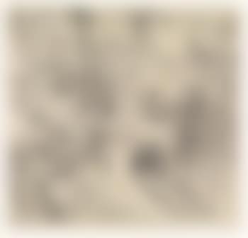 A study of a wood (preview)