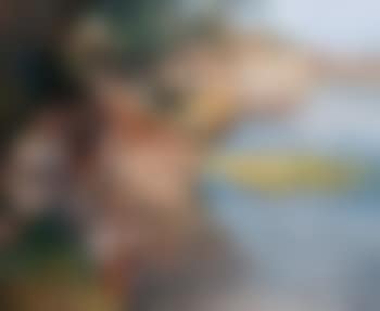 Washing in the Ghat (preview)