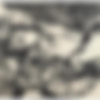 1.1995 (preview)