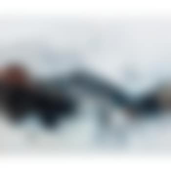 Composition No. 205 (preview)