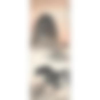 Mount Duxiu (preview)