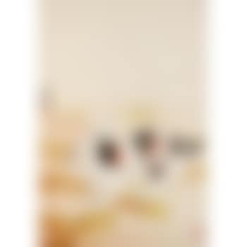 Rabbit (preview)
