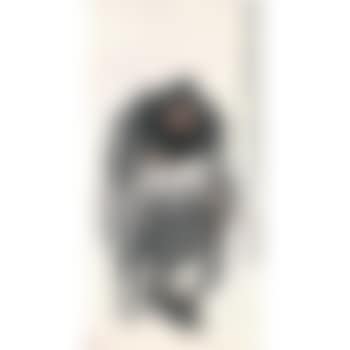 Zhong Kui (preview)