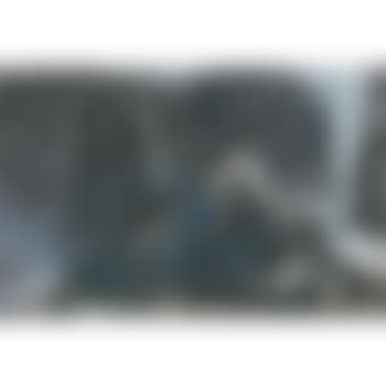 Landscape (preview)