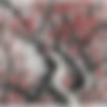 Plum Blossoms (preview)