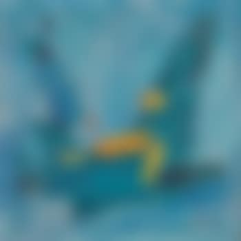 Untitled (preview)