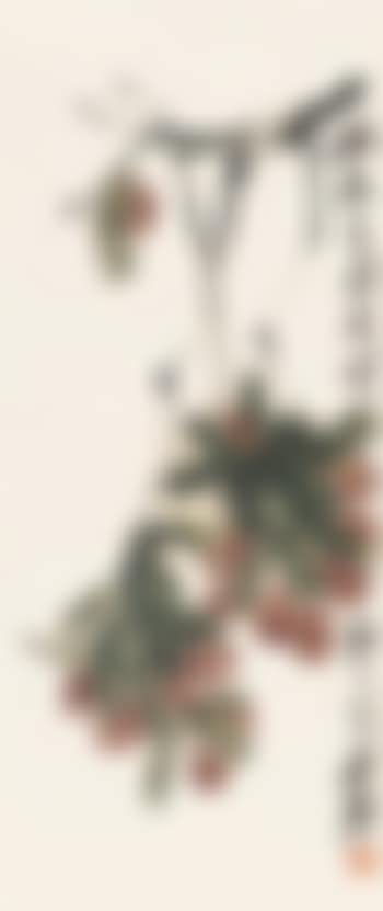Lychee (preview)