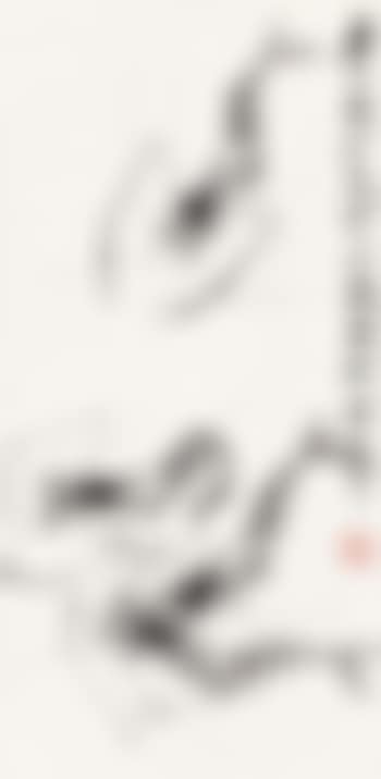 Shrimps (preview)