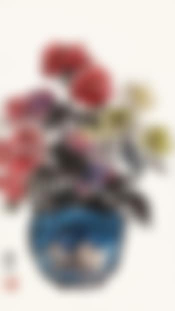 Chrysanthemum (preview)