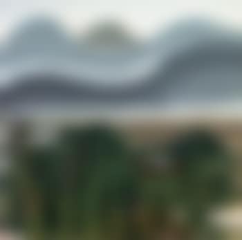 Pines at twilight (preview)