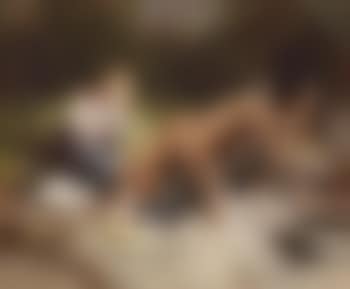 Dinner party (preview)