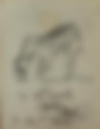 Le cheval (preview)