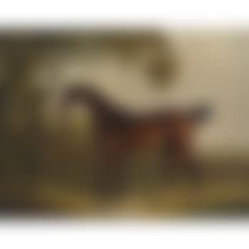 A Bay Horse Tethered To A Tree In A Landscape (preview)