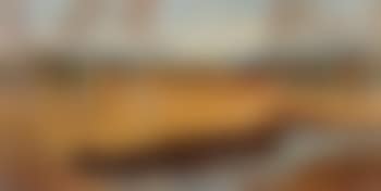 Dachauer Moos im Herbst (preview)